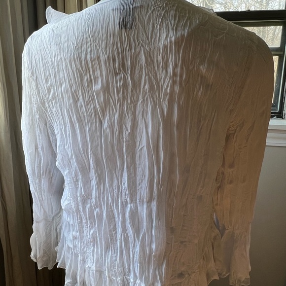 Studio 1940 ruffled blouse with tank with beading and sequin design - Picture 4 of 5